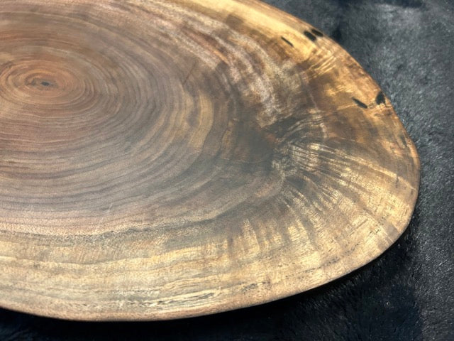 "Windswept Pine" live edge Charcuterie Board - WSPO18-1